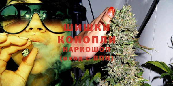 прущие грибы Алзамай